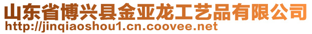 山東省博興縣金亞龍工藝品有限公司