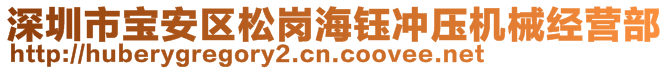 深圳市宝安区松岗海钰冲压机械经营部