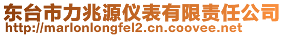 東臺市力兆源儀表有限責任公司