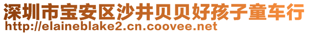 深圳市寶安區(qū)沙井貝貝好孩子童車行