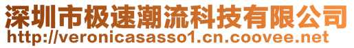 深圳市極速潮流科技有限公司