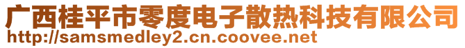 廣西桂平市零度電子散熱科技有限公司