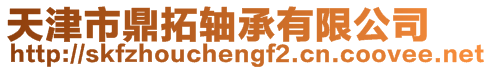 天津市鼎拓軸承有限公司