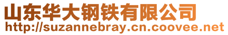 山東華大鋼鐵有限公司