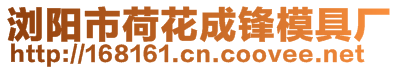 瀏陽市荷花成鋒模具廠