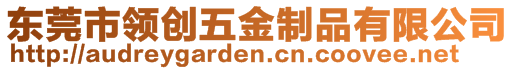 東莞市領(lǐng)創(chuàng)五金制品有限公司