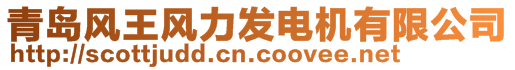 青島風王風力發電機有限公司