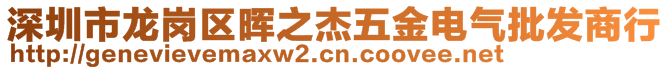 深圳市龙岗区晖之杰五金电气批发商行