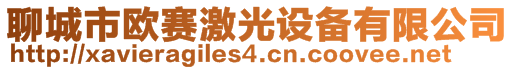 聊城市歐賽激光設(shè)備有限公司