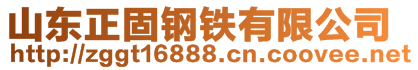 山東正固鋼鐵有限公司