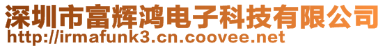 深圳市富辉鸿电子科技有限公司