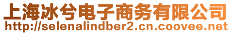 上海冰兮電子商務有限公司