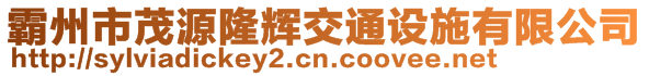 霸州市茂源隆輝交通設(shè)施有限公司