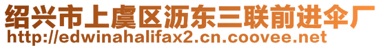 紹興市上虞區(qū)瀝東三聯(lián)前進(jìn)傘廠