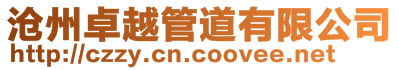 滄州卓越管道有限公司