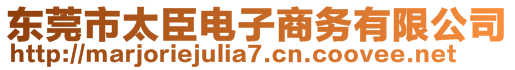 東莞市太臣電子商務(wù)有限公司