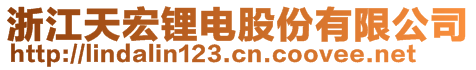 浙江天宏锂电股份有限公司