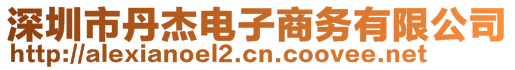 深圳市丹杰電子商務(wù)有限公司