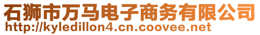 石獅市萬馬電子商務有限公司