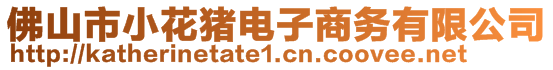 佛山市小花豬電子商務(wù)有限公司