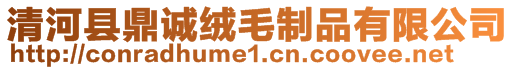 清河縣鼎誠絨毛制品有限公司