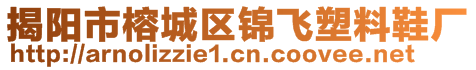 揭陽(yáng)市榕城區(qū)錦飛塑料鞋廠
