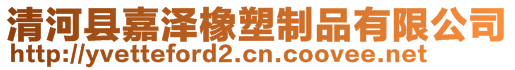 清河縣嘉澤橡塑制品有限公司