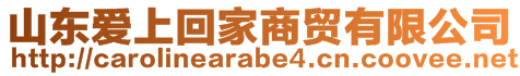 山東愛上回家商貿有限公司