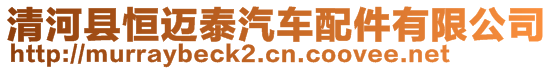 清河縣恒邁泰汽車配件有限公司