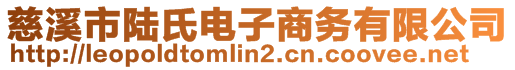 慈溪市陸氏電子商務(wù)有限公司