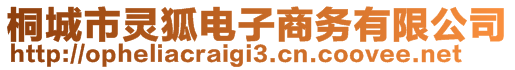 桐城市靈狐電子商務(wù)有限公司