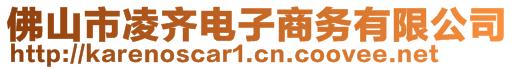 佛山市凌齊電子商務(wù)有限公司