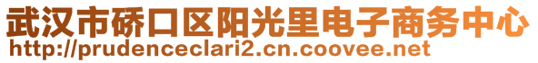 武漢市硚口區(qū)陽光里電子商務(wù)中心