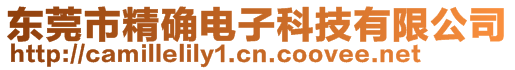 東莞市精確電子科技有限公司