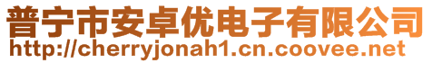 普寧市安卓優電子有限公司