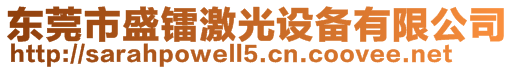 東莞市盛鐳激光設備有限公司