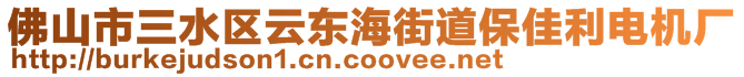 佛山市三水區(qū)云東海街道保佳利電機(jī)廠