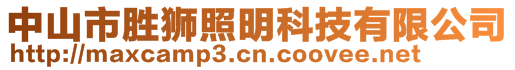 中山市勝獅照明科技有限公司