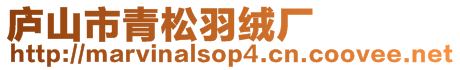 廬山市青松羽絨廠