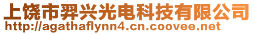 上饒市羿興光電科技有限公司