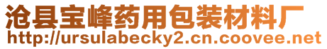 滄縣寶峰藥用包裝材料廠