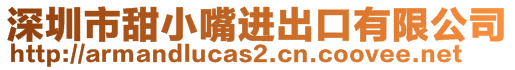 深圳市甜小嘴进出口有限公司