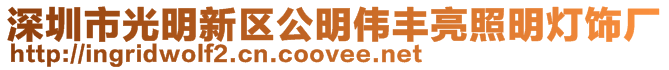 深圳市光明新區(qū)公明偉豐亮照明燈飾廠