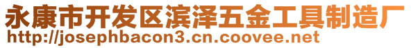永康市開(kāi)發(fā)區(qū)濱澤五金工具制造廠