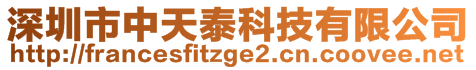 深圳市中天泰科技有限公司