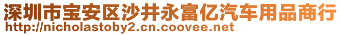 深圳市宝安区沙井永富亿汽车用品商行