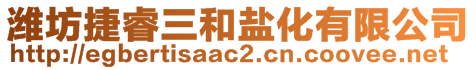 濰坊捷睿三和鹽化有限公司