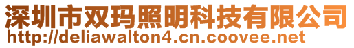 深圳市双玛照明科技有限公司