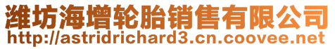 濰坊海增輪胎銷售有限公司