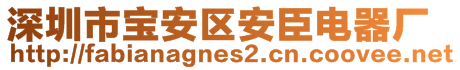 深圳市寶安區(qū)安臣電器廠